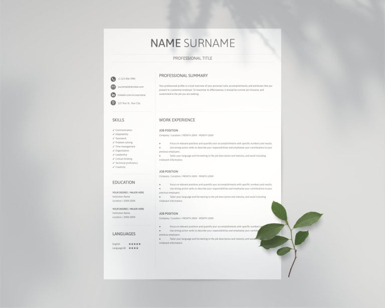 The Classic Resume Template A - Resume Template Google Docs 768x614 