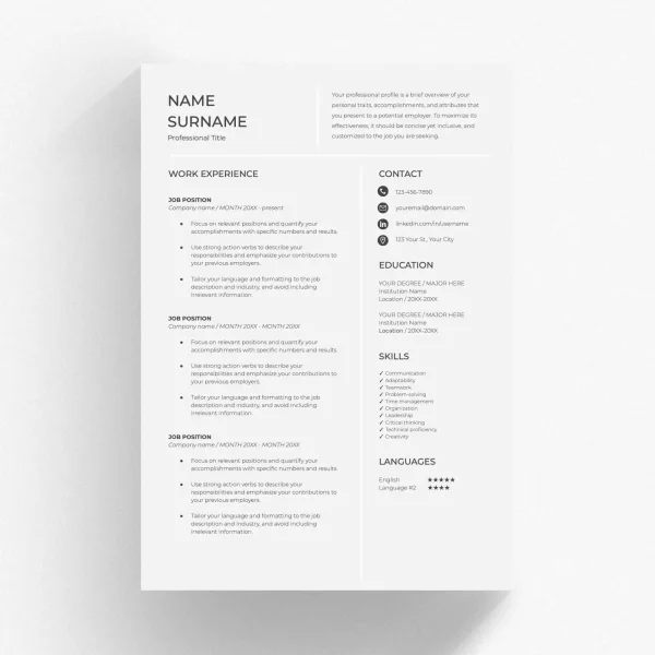 Professional CV - Google Docs Template, Instant Download