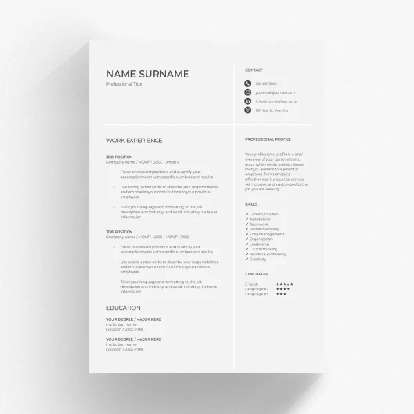 director resume template 00130