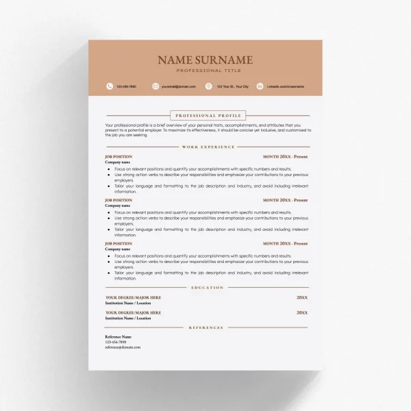 functional resume template google docs 00023