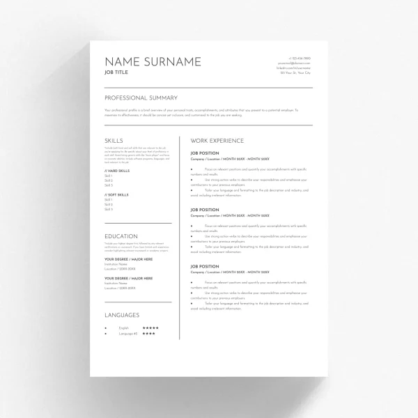 perfect resume template 00119