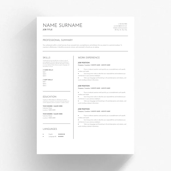Federal Resume Template - Government Service Professional Design for Google Docs & Word