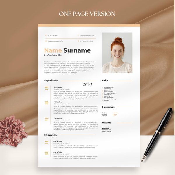 Classic ATS Optimized Resume Template Word ATS Friendly CV Design Basic Resume Google Docs Experienced Professionals & Executive Roles - Image 2