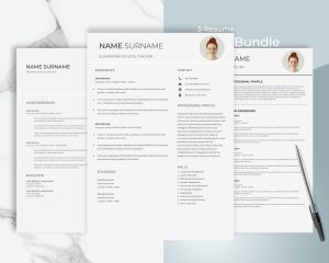 Professional Resume Format ATS Friendly Resume Template Minimalist Resume Template for Word Google Docs Executive Professional CV