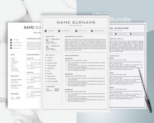Data Science Resume Bundle - Google Docs Template Clean and Minimalist CV Design