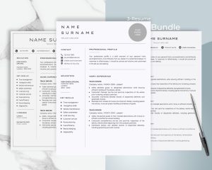 Truck Driver Resume Template Google Docs And Word (Bundle) Masculine Resume Template for Men
