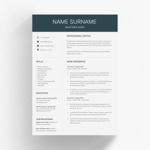 Professional Nursing Resume