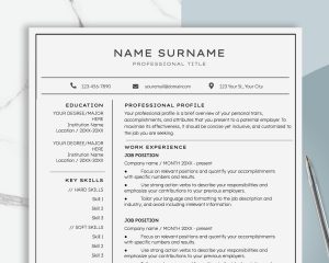 Executive Resume Professional Resume Template Modern Resume Word CV Resume Design Cover Letter Manager Director C Level Resume
