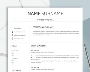 Executive Resume Template Modern C Level Resume Template for Word CEO Resume Director Resume Template 2025 Resume Template