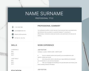 CEO Resume for Word Google Docs C Level Resume Modern Executive Resume Template President Manager Director Resume Template