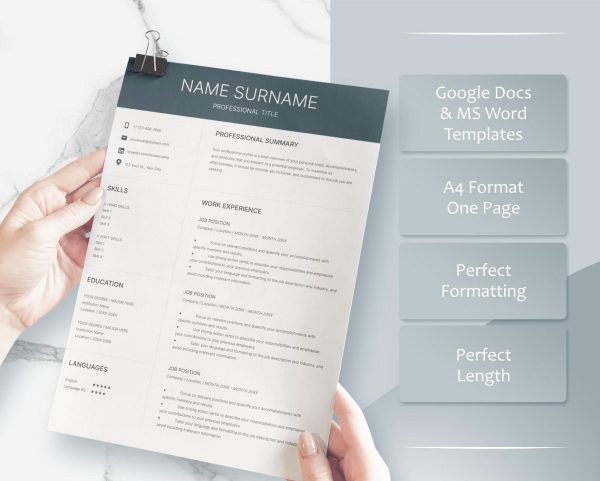 CEO Resume for Word Google Docs C Level Resume Modern Executive Resume Template President Manager Director Resume Template - Image 3