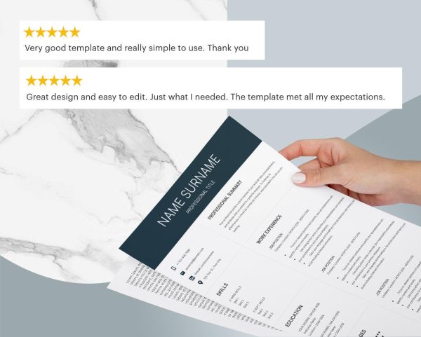 CEO Resume for Word Google Docs C Level Resume Modern Executive Resume Template President Manager Director Resume Template - Image 6