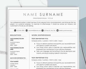 Resume Template Professional Resume Template Word Google Docs Creative Resume Template Clean Modern Executive Resume CV Template